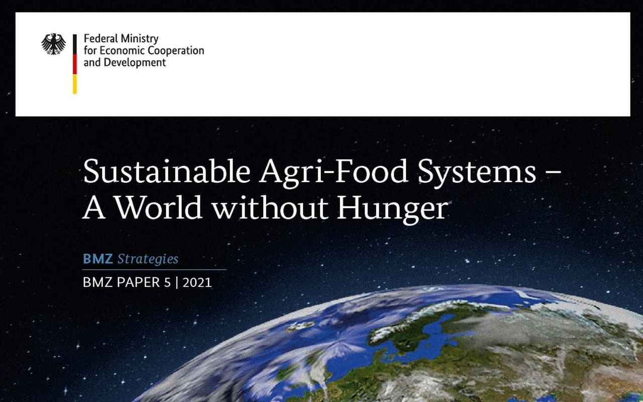 The image shows a BMZ publication cover on sustainable agri-food systems with Earth and a focus on ending hunger.