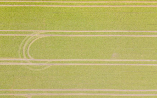 Luftaufnahme eines grünen Feldes mit parallelen Linien und einer leicht gebogenen Spur.