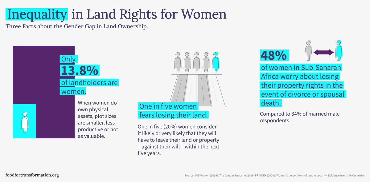Infographic highlights gender inequality in land rights, showing statistics about women's concerns and ownership percentages.