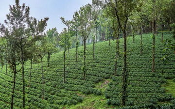 Die befragten Menschen möchten sich aktiver an Food-Governance-Prozessen beteiligen. (c) SLE