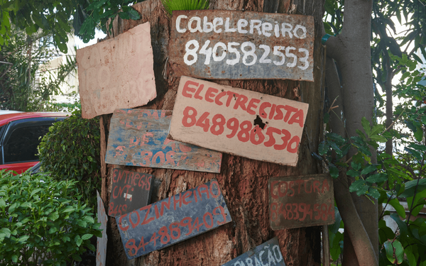 Mehrere handgemalte Schilder an einem Baum bieten verschiedene Dienstleistungen in einer urbanen Umgebung an.