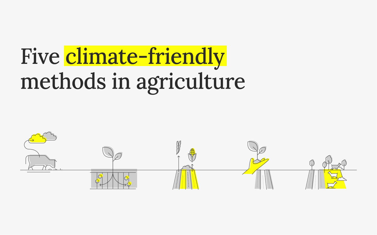 The image illustrates five climate-friendly agricultural methods with simple line drawings and highlighted text.