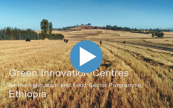 Aerial view of Ethiopian farmland highlighting the Green Innovation Centres' role in sustainable agriculture development.