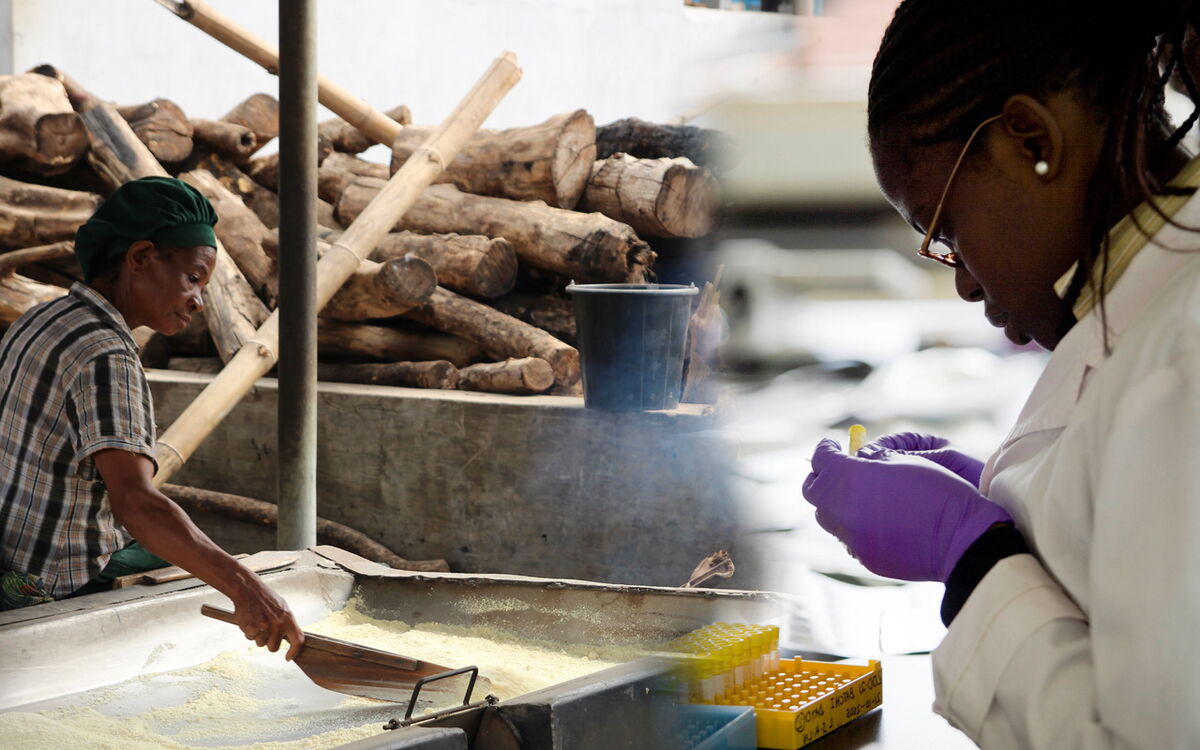 A woman processes grain with wooden logs nearby, while another examines a sample in a lab with purple gloves.