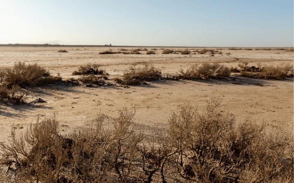 Karge Wüstenlandschaft mit verstreuten, trockenen Sträuchern unter klarem Himmel. | © GIZ Fouad Bestandji