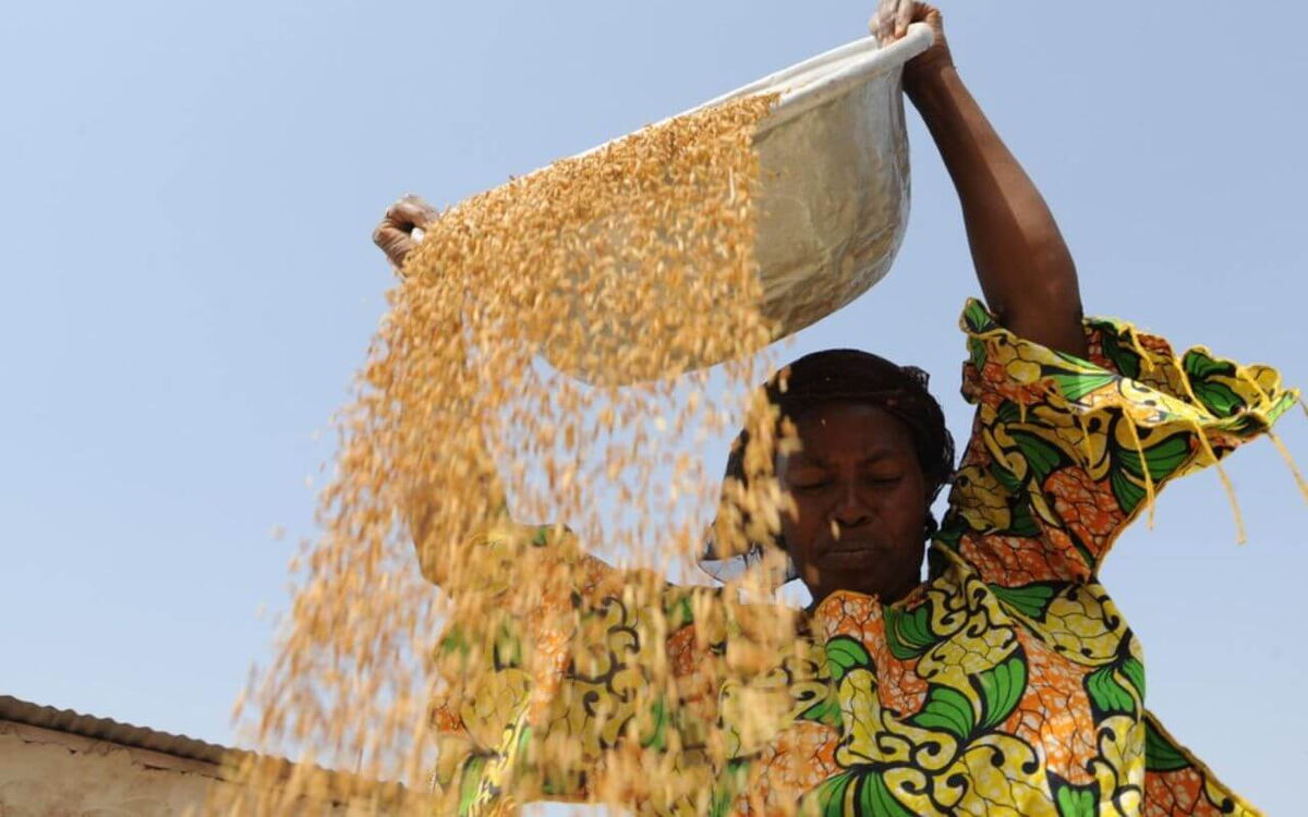 A woman in colorful attire pours grain from a large bowl against a clear blue sky.