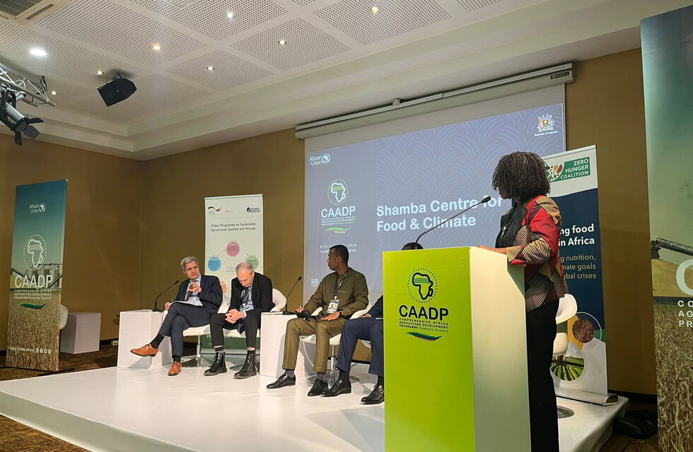 A woman speaks at a podium labeled "CAADP" during a panel discussion on food and climate at the Shamba Centre.