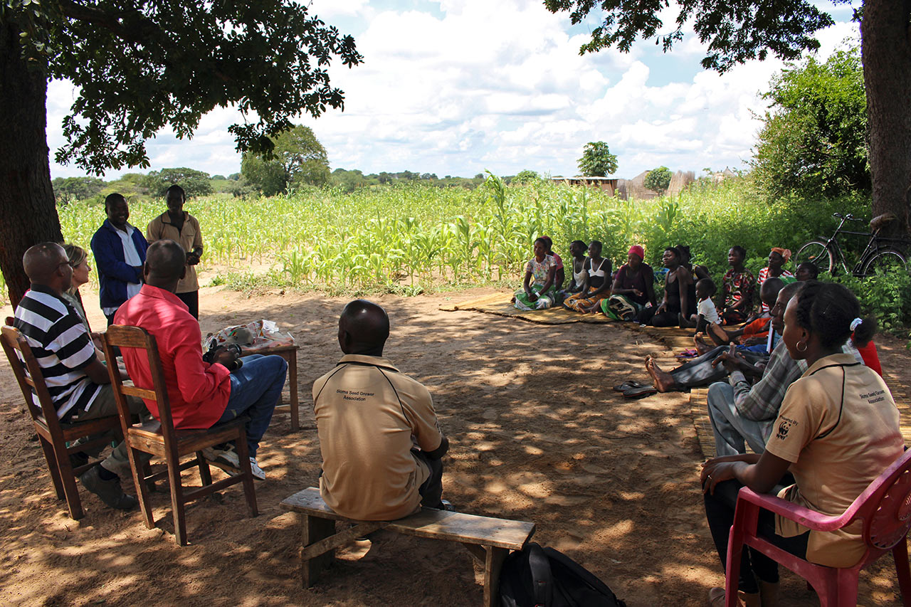 Zambia: meeting of a small farmers cooperative. Photo: WWF Germany