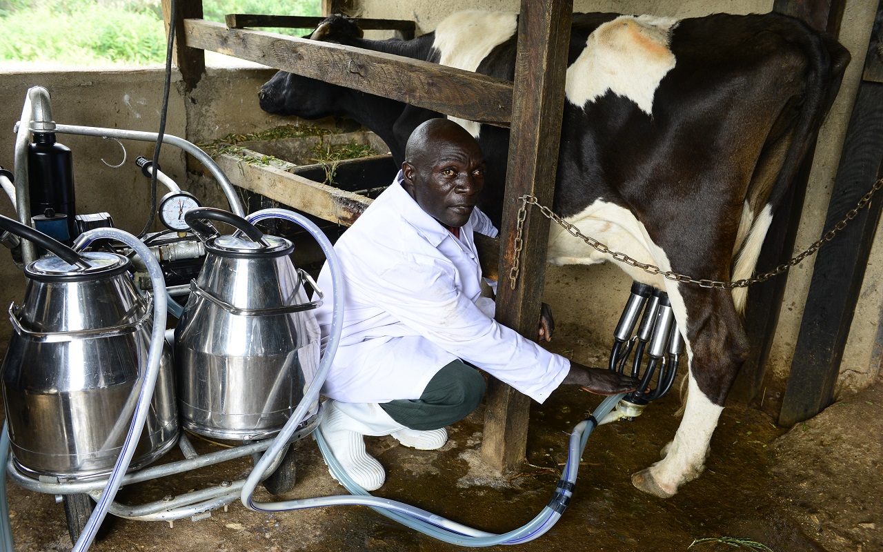 Lieferketten in der Milchwirtschaft. Photo: GIZ